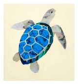 Nature Sea Turtle Sticker