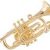 Pin Cornet