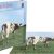 Puzzle Pink Floyd Atom Heart